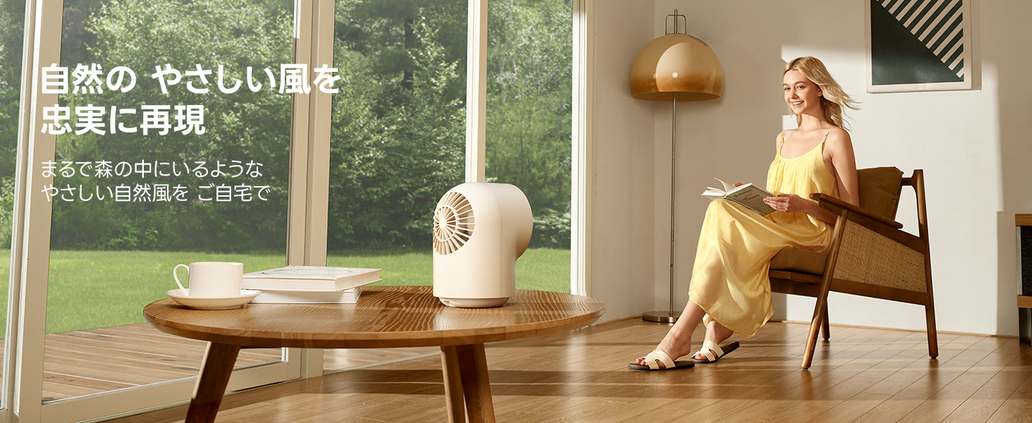 Table Fan Chic 01 Lite – Aecooly.JP